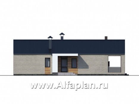 Проекты домов Альфаплан - «Тета» - одноэтажный дом с фальцевыми фасадами и кровлей - превью фасада №3