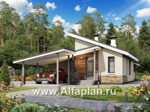 Проекты домов Альфаплан - «Дриада» - одноэтажный дом с гаражом-навесом - превью основного изображения